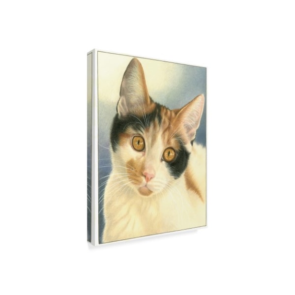 Francien Van Westering 'Speckled Cats' Canvas Art,14x19